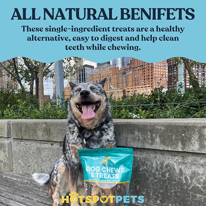 Hotspot Pets Braided Bully Sticks for Dogs - 6 Inch Dog Bones (5 Pack) All Natural Long Lasting Twisted Beef Dog Chews - Promote Natural Dental Health, Low Fat, Fully Digestible Rawhide Alternative