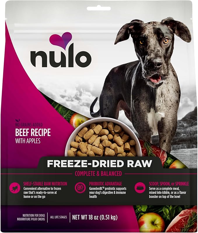 Nulo Freeze-Dried Raw Beef Recipe with Apples Complete and Balanced Dry Dog Food Kibble, 18 Ounce Bag
