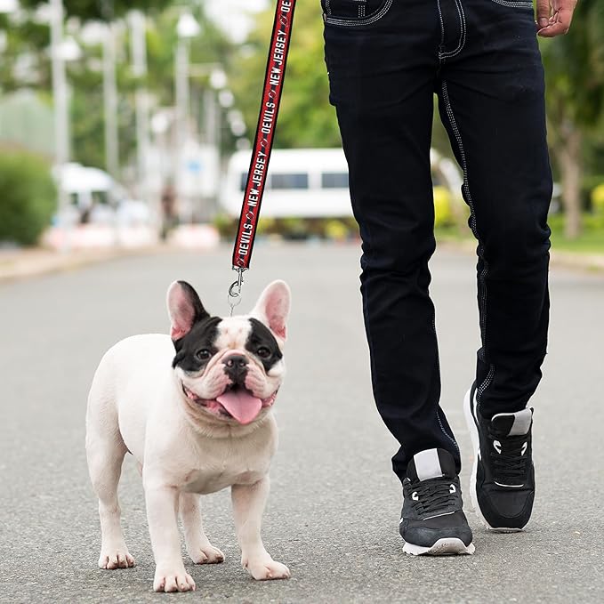 Pets First NHL Los Angeles Kings Leash for Dogs & Cats, Large. - Walk Cute & Stylish! The Ultimate Hockey Fan Leash!, 6 ft Long x 1 in Width, KNG-3031-LG
