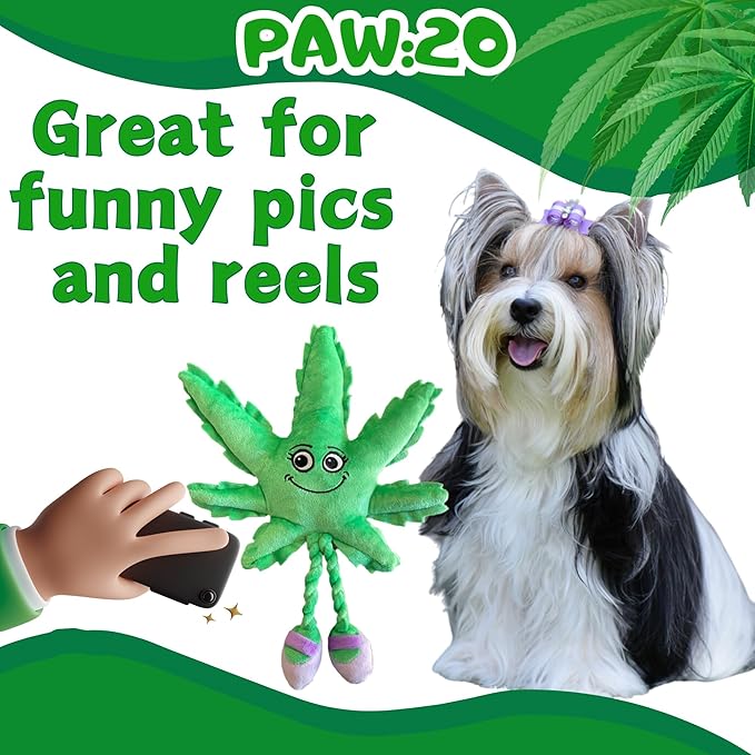 My Name is Mary Jane, Cute Stuffed Parody Marijuana Leaf Dog Toy, Funny Squeaky Weed Toy, Cool Plush Novelty 420 Gift for Puppies & Small, Medium & Large Breeds, For Fetch & a Photo Prop, Shelf-Sitter