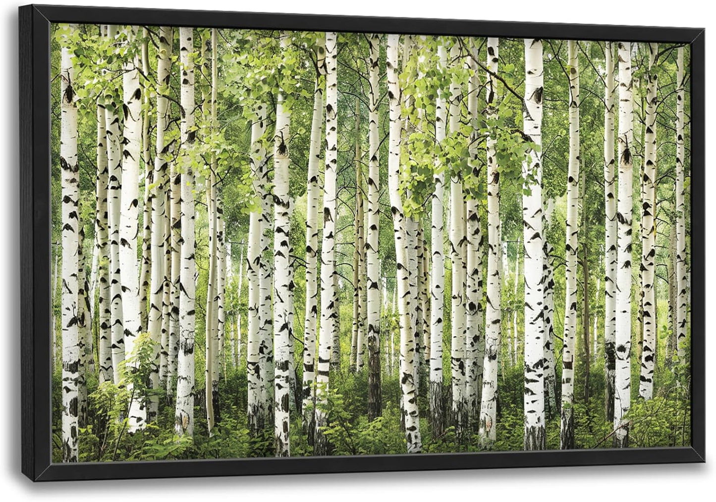 Extra Large Birch Tree Framed Wall Art for Living Room,Oversized Green Aspen Trees Forest Pictures Wall Decor,Canvas Print Painting Modern Artwork Bedroom Office Bathroom 36L" x 24W"