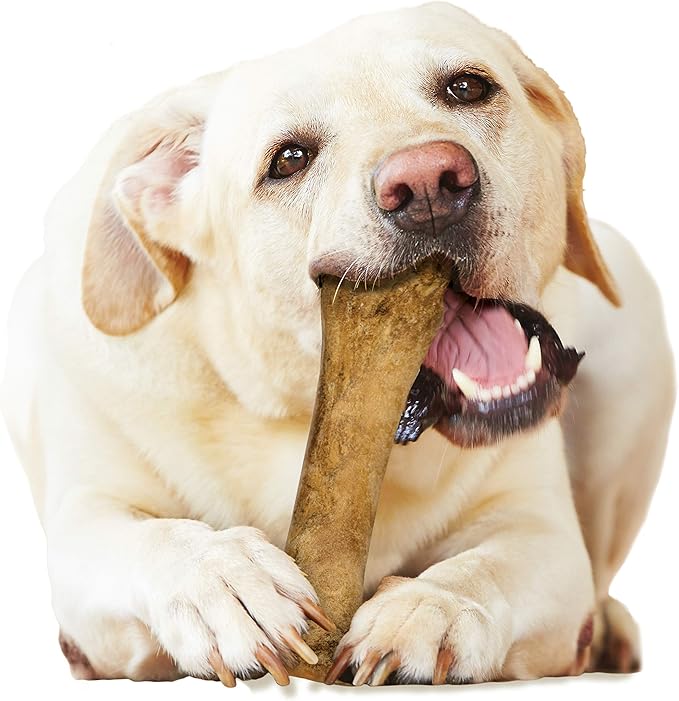 Nylabone Healthy Edibles Natural Dog Chews Long Lasting Bacon Flavor Treats for Dogs,X-Large/Souper,(Pack of 2)