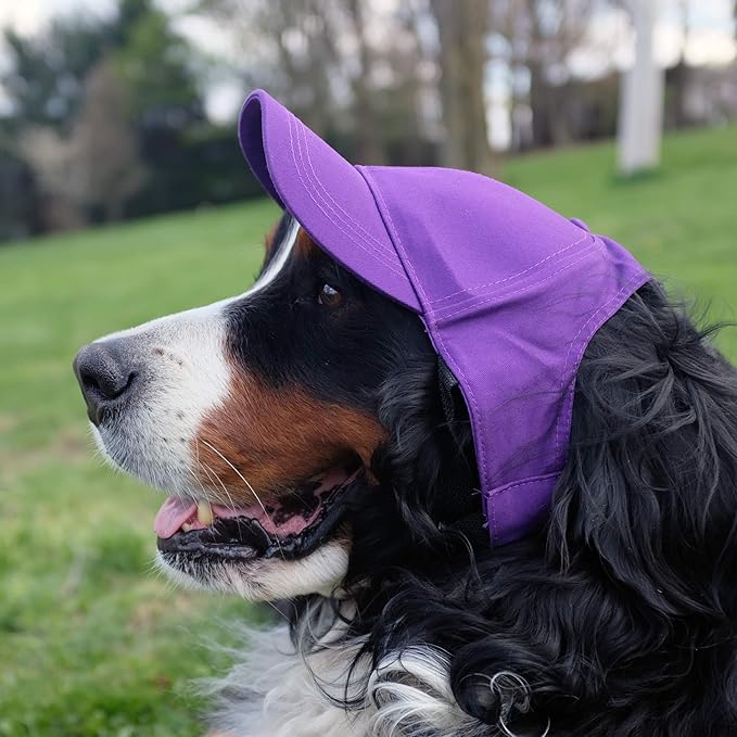 Littlearth NFL Minnesota Vikings Pet Baseball Hat, Team Color, Large