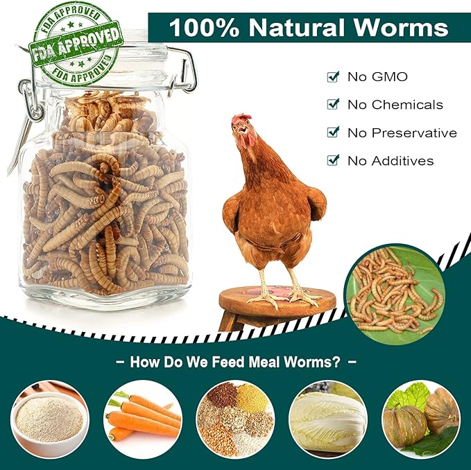 11LB Non-GMO Dried Mealworms, 100% Natural Large Size No Moisture, Mealworms for Chickens, Birds, Hedgehog, Hamster, Fish, Reptile, Turtles