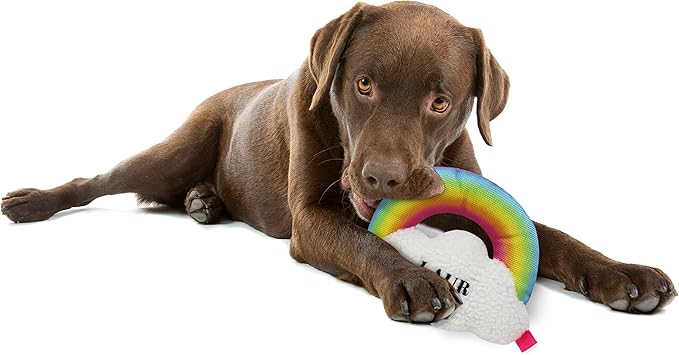 Pets First Rainbow Cloud Rope & Plush Pet Toy with 6 Ropes & Squeaker by LAURDIY Super Cute Dog Colorful Toy