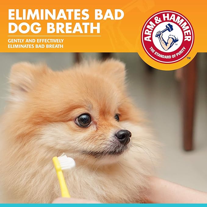 Arm & Hammer for Pets Fresh Breath Enzymatic Dog Toothpaste, Chicken Flavor, Safe for Puppies and Adult Dogs, Daily Baking Soda Dental Gel to Eliminate Bad Breath, 2.5 Oz - 72 Pack