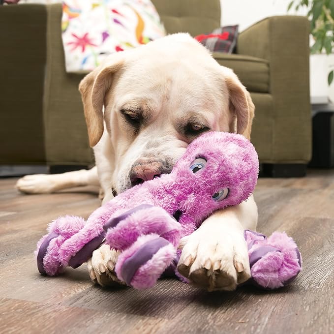 KONG SoftSeas Dog Toy – Plush Squeaky & Crinkle Toy for Dogs, Soft Thick Fabric, Ideal for Cuddling & Indoor Play (Small, Octopus)
