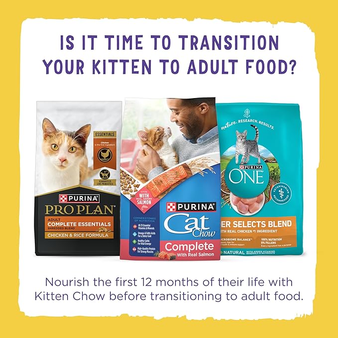 Purina Kitten Chow Kitten Food Healthy Development with Real Chicken Dry Kitten Food - (Pack of 4) 3.15 lb. Bag