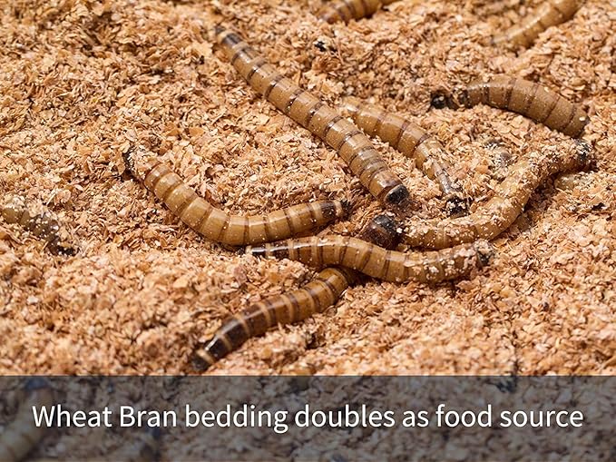 Snout and Shell Mealworm Wheat Bran Bedding and Food Source