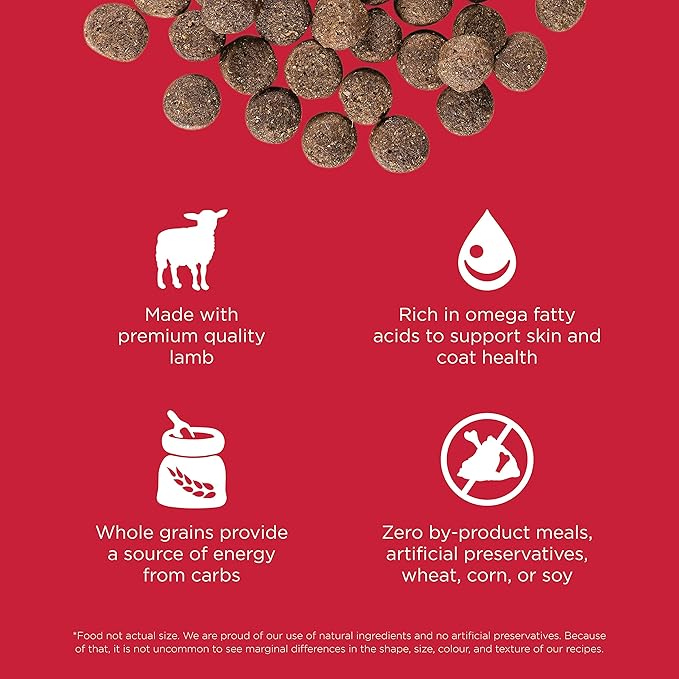 Go! Solutions Skin + Coat Care Lamb Dry Dog Food with Grains, Chicken-Free, Healthy Kibble with Omega-3s & 6s for Soft, Shiny Fur, for Puppies, Adults, & Seniors, 22 lb Bag