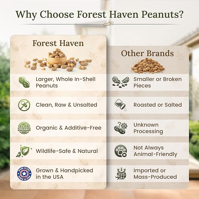 Forest Haven Premium Raw Peanuts for Squirrels – 10LB Bulk Squirrel Food – Unsalted Peanuts in Shell for Birds, Deer & Wildlife – Bonus Binoculars Included - USA Grown