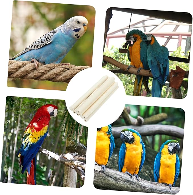 TOYANDONA 10pcs Natural Chewing Toys for Parrots Molar Sticks for Birds for Pets and Creative Bird Cage Accessories