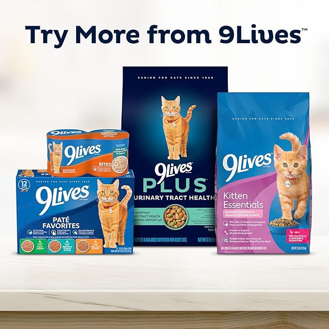 9Lives Indoor Essentials Dry Cat Food for Adult Cats with Chicken & Salmon Flavors, 12 lb. Bag