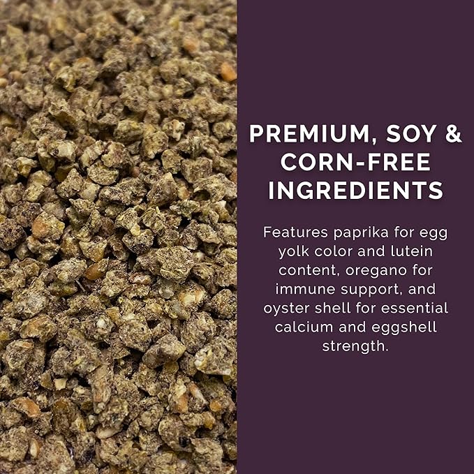 Layer Crumb Feed, 40lbs - Non-GMO, High-Protein Poultry Feed for Healthy Hens & Nutritious Eggs, 17.5% Protein - USDA Certified Organic Blend, Soy & Corn-Free