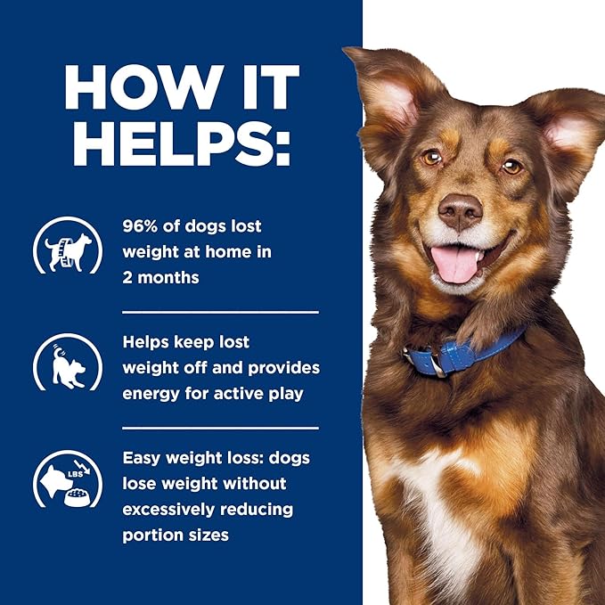 Hill's Prescription Diet Metabolic Weight Management Wet Dog Food, Vegetable & Beef Stew, 12.5 oz. Cans, 12-Pack