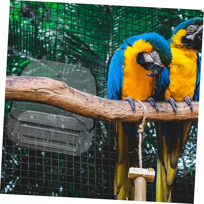 SUPVOX Bird Cage Food Box Parrot Bathtub Pet Feeding Basin Bird Feeder for Cage