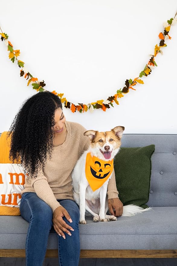Pearhead Pumpkin Dog Bandana, Fall Pet Scarf for Halloween Costume, Slip-On Collar Accessory for Medium Large Pets, Autumn Puppy Outfit, Orange Seasonal Apparel