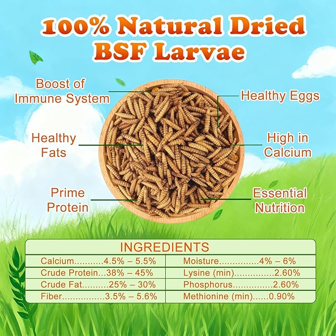 Amzey 11 LBS Dried Black Soldier Fly Larva - All Natural BSF Larvae - 85X More Calcium Than Mealworms - High Calcium Treats for Chickens, Birds, Reptiles, Hedgehog, Geckos, Turtles