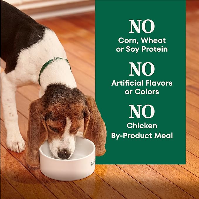 Nutro Natural Choice Dry Puppy Food, Dry Dog Food for Puppies, Lamb and Brown Rice Recipe, 12 lbs.