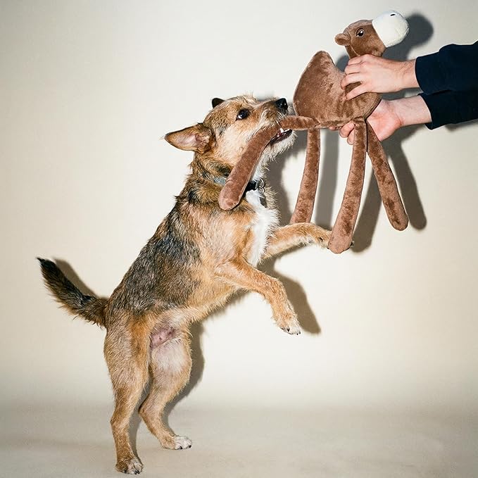 Dog Toys | Plush Camel Stuffed Animal for Large Dogs | Eco Friendly Jumbo Dog Toy