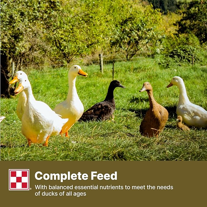 Purina Duck Feed for All Life-Stages, Nutritionally Complete (10 lbs)