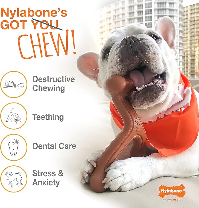 Nylabone Durachew Chicken Blister Card Wolf