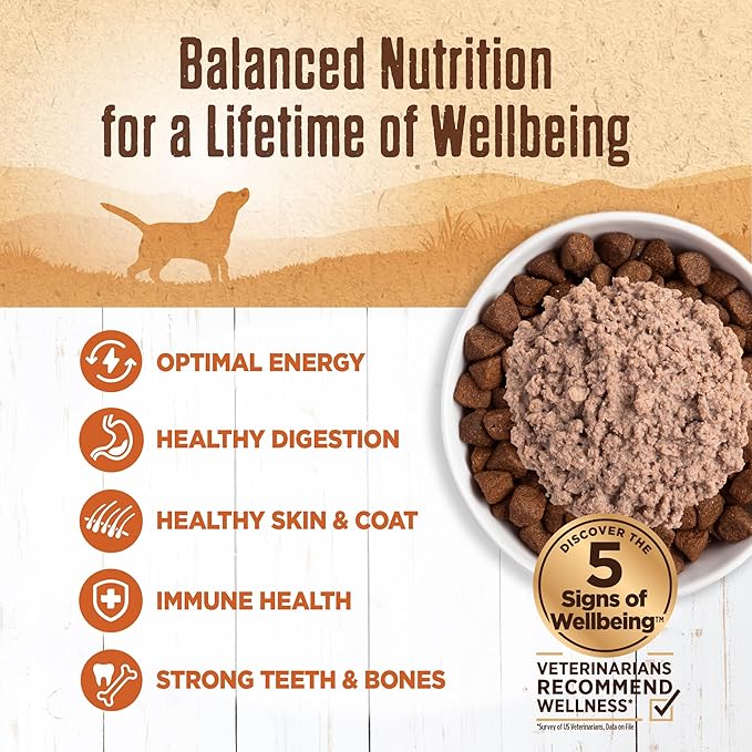 Wellness 95% Turkey Adult Canned Wet Dog Food, Grain Free, Natural, 13.2 oz, Pack of 12 Cans