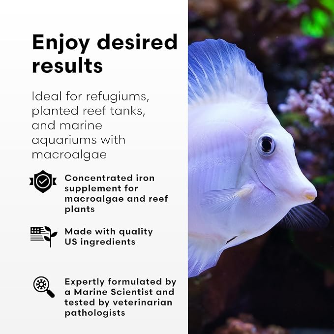 Brightwell Aquatics Ferrion – Concentrated Iron Supplement for Macroalgae, Coralline Algae & Reef Plants – Supports Coral Health – Ideal for Marine Systems, 2L