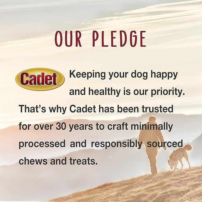 Cadet Stuffed Shin Bone, Long-Lasting Dog Chew Bones for Aggressive Chewers, High Protein Filled Bone Dental Chew for Dogs, Cheese Flavor Filling, 5-6" for Large Dogs