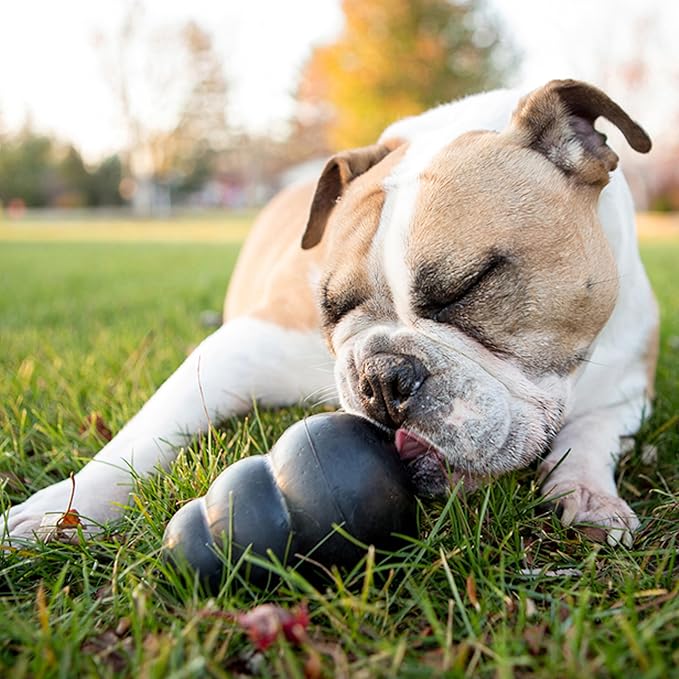 KONG Extreme Dog Toy - Fetch & Chew Toy - Treat-Filling Capabilities & Erratic Bounce for Extended Play Time Most Durable Natural Rubber Material - for Power Chewers - for Medium Dogs