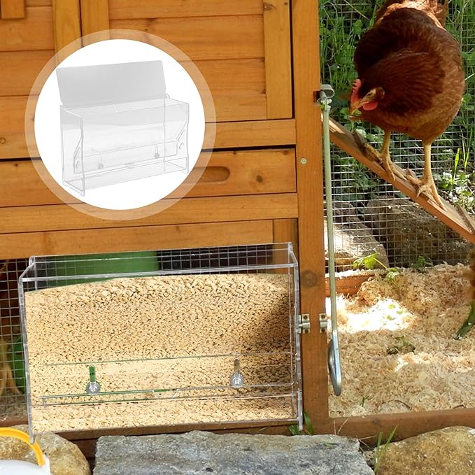 Abaodam Rutin Chicken Automatic Feeder Acrylic Medium Chicken Feeding Bowl Food Box for Parrot Cockatiel Bird Cage Use