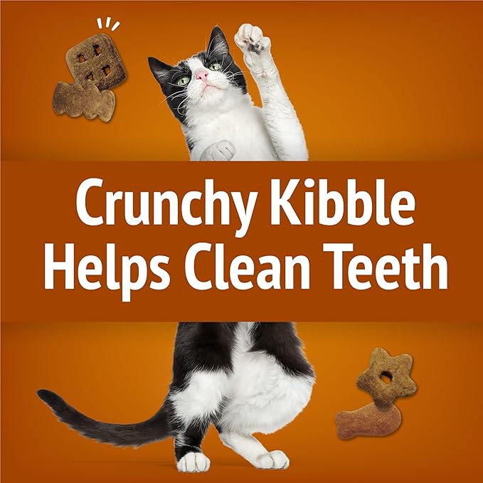 Friskies Purina Cat Treats, Party Mix Chicken Lovers Crunch - 20 Oz. Pouch (Pack of 2)
