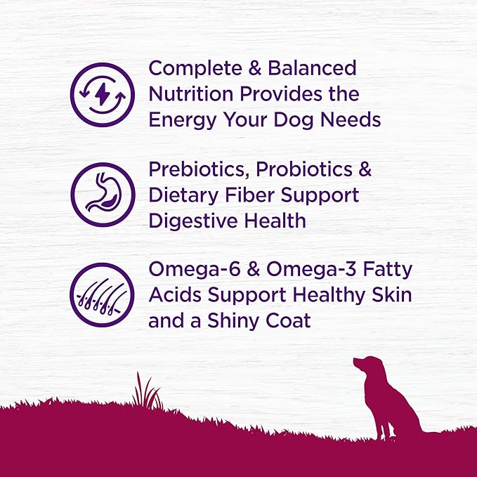 Wellness Complete Health Small Breed Adult Dry Dog Food, Grain Free Kibble, Chicken and Salmon Recipe, 11 lb Bag