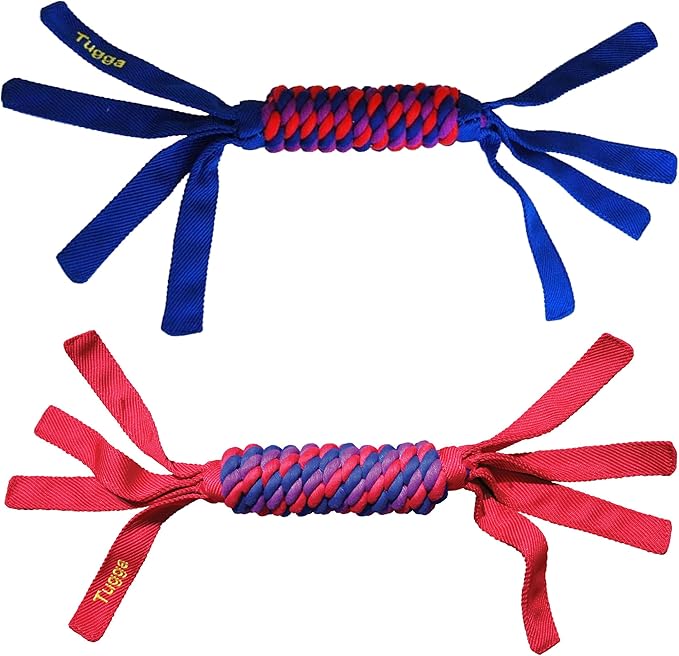 KONG Tugga Wubba Dog Toy [Set of 2] Size: Large