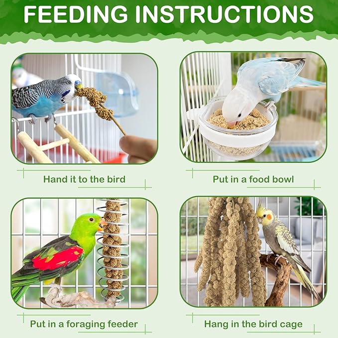 ERKOON 1.5LB Spray Millet Treat, All Natural Sun-Dried Healthy Treat Parrot Food Bird Snack for Parakeets, Lovebirds, Cockatiels, Finches, Budgies, Canaries Hamster, Bird Food Bulk