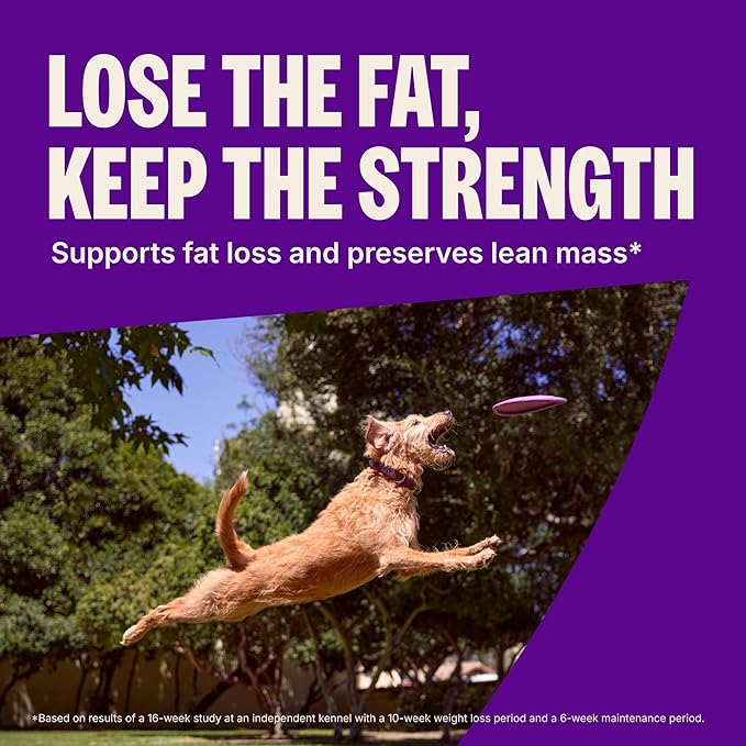 Wellness CORE Healthy Weight Adult Dry Dog Food, Grain Free Kibble, Natural, High Protein, Turkey and Chicken Recipe, 12 lb Bag