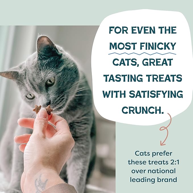 Shameless Pets Crunchy Cat-Treats - Kitty-Treats for Cats with Skin & Coat Support, Natural Ingredients KittenTreats with Real Salmon, Healthy Flavored Feline Snacks - Yam Good Salmon, (Pack of 2)