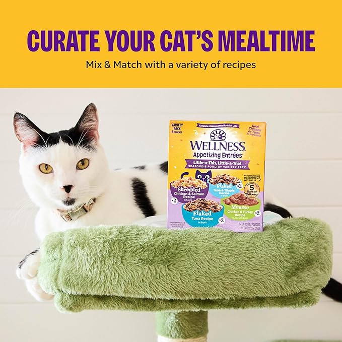 Wellness Appetizing Mousse Flaked Adult Wet Cat Food, Natural, Protein Rich, Grain Free, Chicken and Turkey Recipe, 2.8 oz, Pack of 8 Pouches