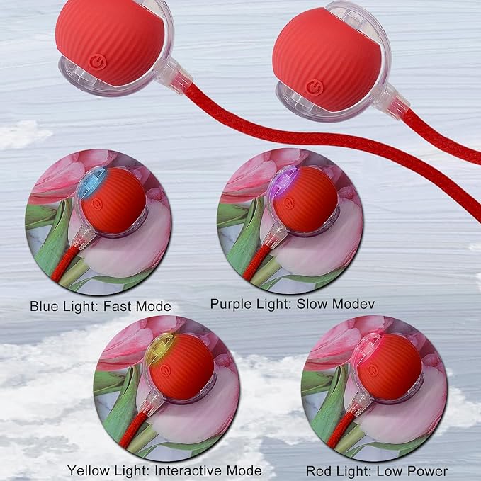 Interactive Cat Dog Toy Ball: Indoor Automatic Moving Smart Rolling Fun Pet Game with Led Light and Tail for Motion Activated, Kitten Puppy Present, Chase Exercise, Hunting Simulation-Upgrade (Red)