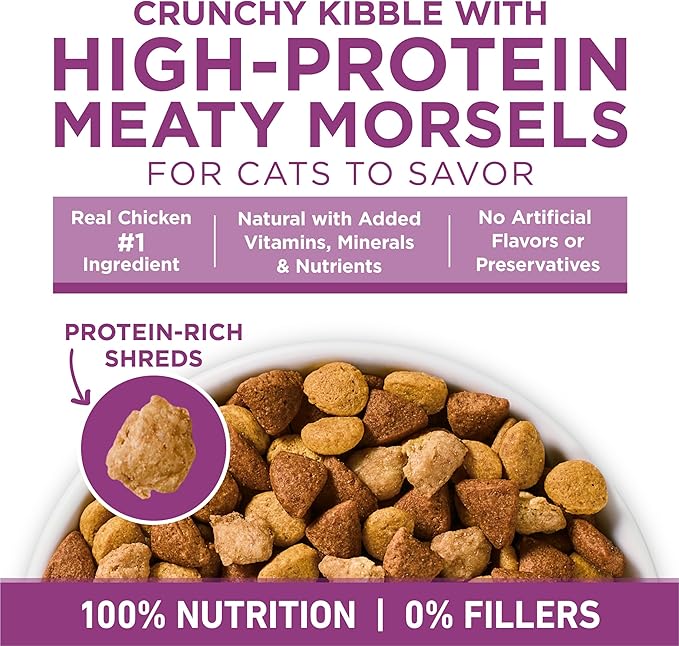 Purina ONE Plus Whole Body Support with Chicken Dry Cat Food - 7 b. Bag