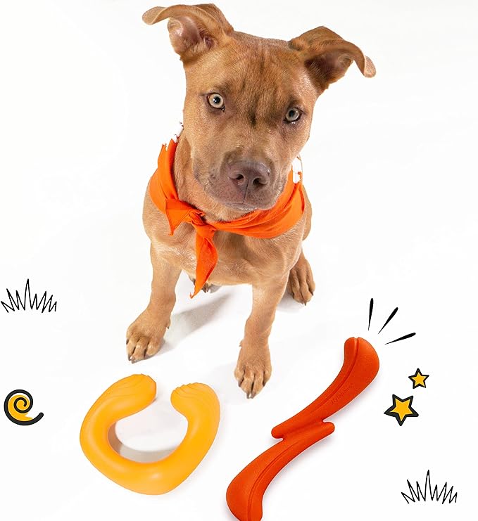 Nylabone C-Shuu and Stik-Go Interactive Dog Toys Bundle for Dogs – Lightweight Intriguing Dog Fetch Toys for Creative Play & Dog Exercise