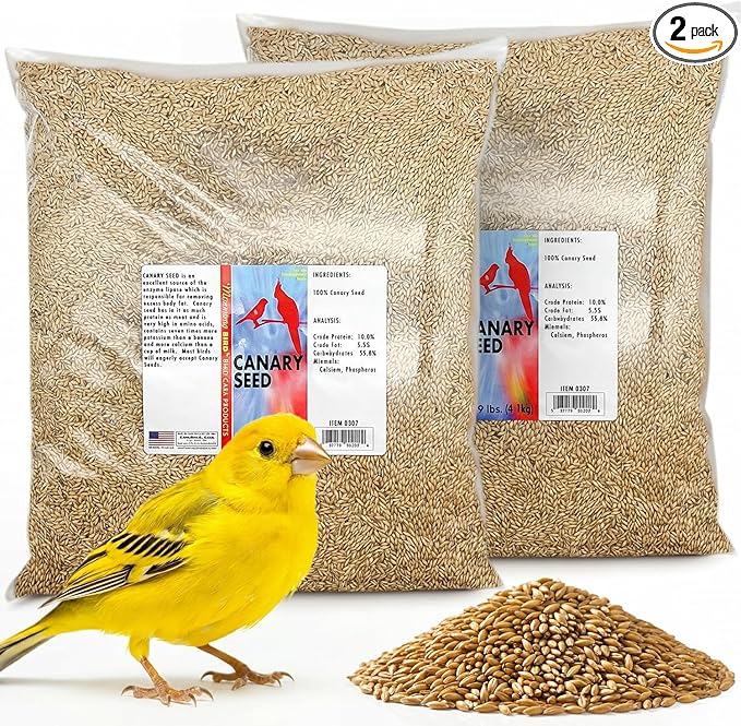 Morning Bird Canary Seed 18 lbs (2-Pack, 9 lbs Each), Nutrient-Rich Bird Seed, Creamy Golden Grain Powerhouse - Supports Healthy Feathers & Strong Bones – Natural Daily Nutrition for All Bird Types