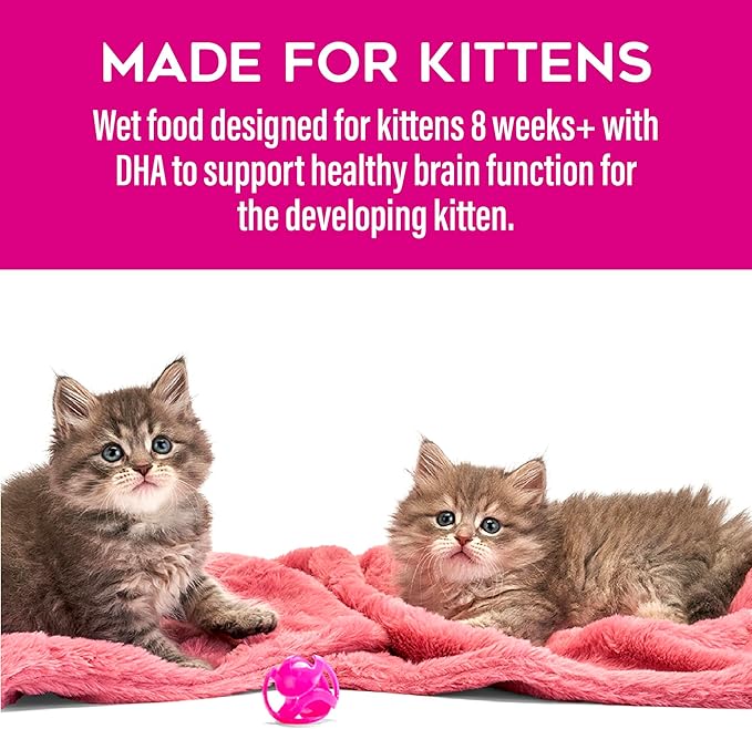 Tiki Cat Baby Whole Foods Wet Cat Food for Kittens Mega Pack, 2.4 oz. Cans (24 Count)