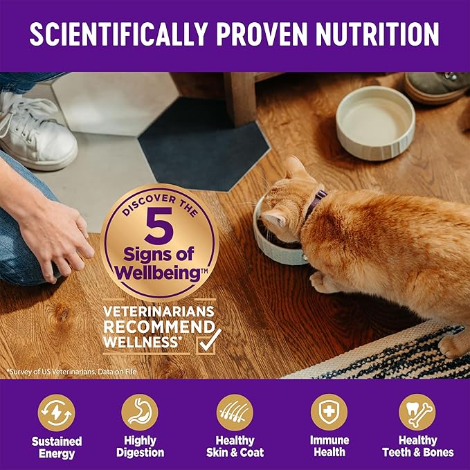 Wellness Complete Health Adult Dry Cat Food for Indoor Cats, Natural, Grain Free Kibble, Salmon and Herring Meal Recipe, 5.5 lb Bag