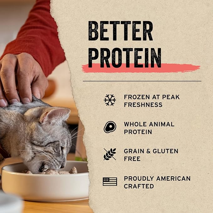 Vital Essentials Freeze Dried Raw Single Ingredient Cat Treats, Minnows, 1 oz (Pack of 6)