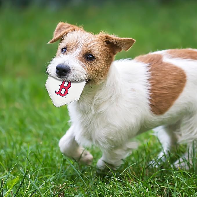 Pets First MLB Boston RED SOX Hard-Nylon Baseball Home Plate Dog Chew Toy, Interactive and Fun Dog CHEW Toy, Bacon Flavored, Strong Durable Chew Toy for Pets
