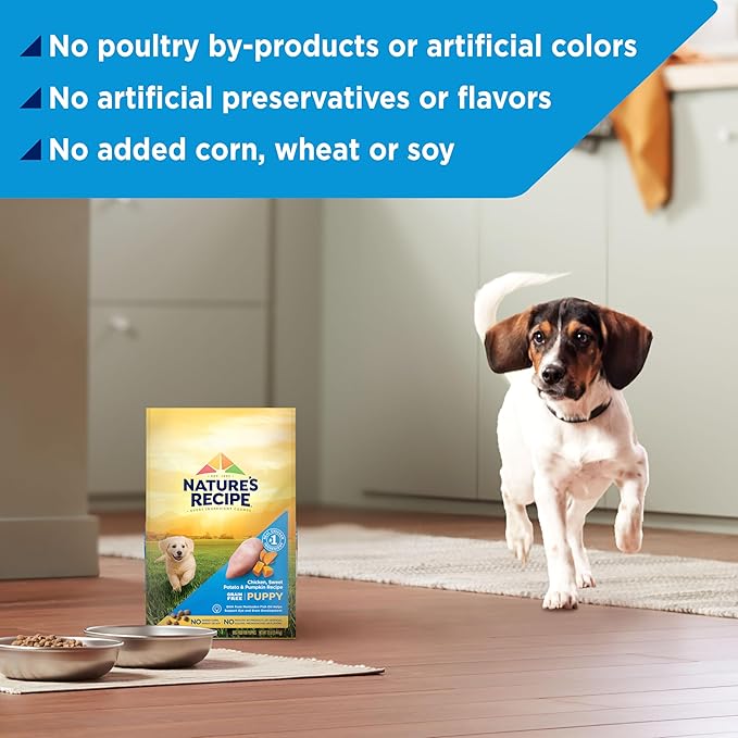 Nature's Recipe Grain Free Puppy Dry Dog Food, Chicken, Sweet Potato & Pumpkin Recipe, 12 lb. Bag