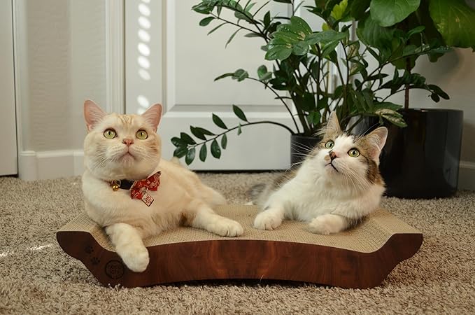 Necoichi Cardboard Cat Scratcher Bed for Indoor Cats - Cat Scratching Board, Horizontal Cat Scratch Pad Lounger with Reversible Usability and Extra Comfort for Lounge, Curved (22" Large, Dark Cherry)