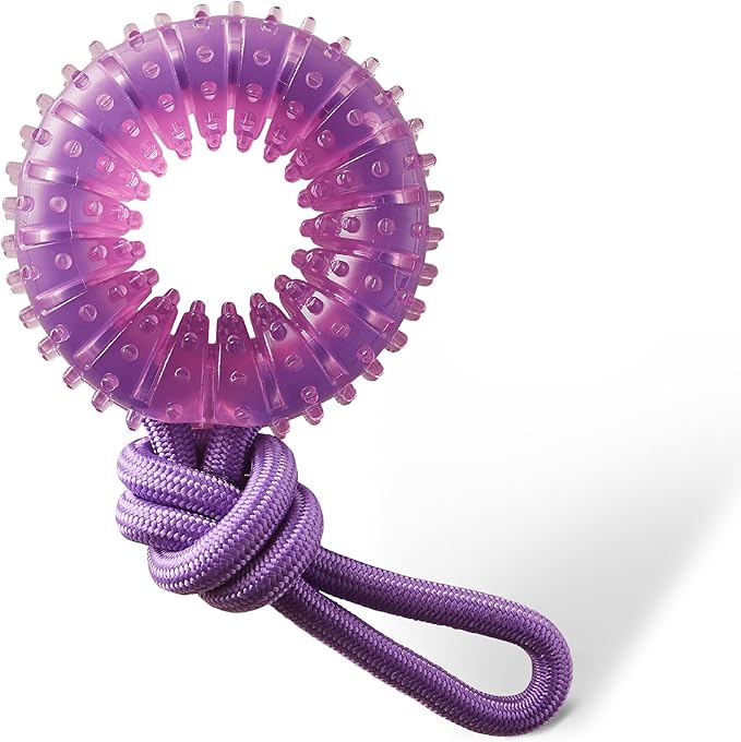 Dental Chew Wheel Dog Toy – Ring & Rope Tug, Multi-Textured, Soft on Teeth, Moderate Chewers, Mint Scented, 9"