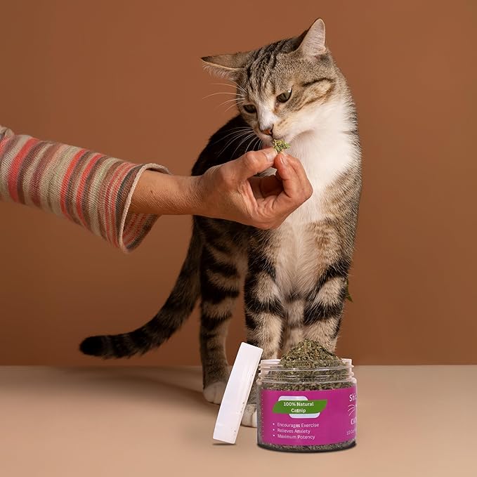 Catnip for Cats with Leaves and Flower Seeds 100% Natural and Organic Catnip Premium Cat Nip for Cats & Kittens Used as a Snack or Refillable Catnip Treats for Cats (1/2 Cup)